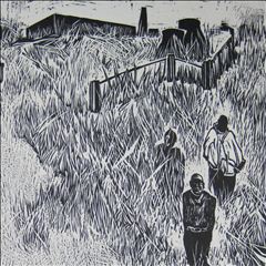 荒野－6