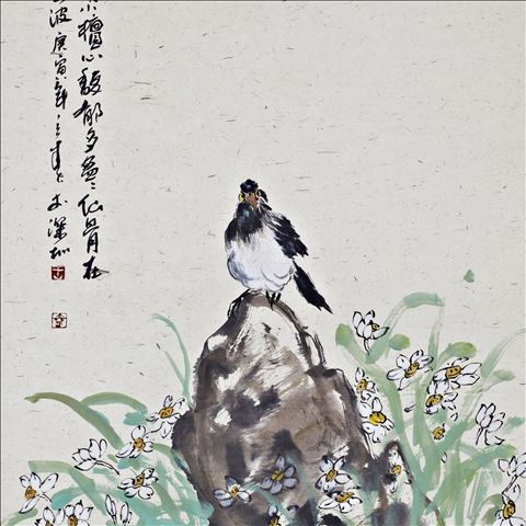 玉面婵娟/玉蔬金叶