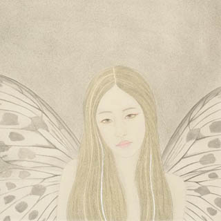蝶恋——陨落的天使     