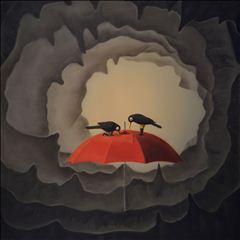 自愚自乐.空NO.1