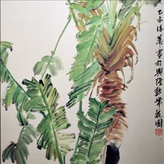 尼古拉鹤望兰