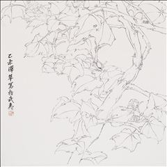 芙蓉花